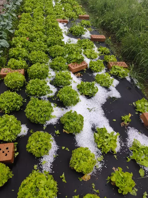Foto: Bezirksfeuerwehrkommando Güssing