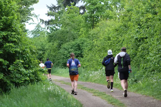 "Wings for Life Run" in Perg 2025. | Foto: Meinbezirk Perg/Köck