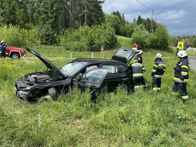 Bei der Autobahnabfahrt Steinberg kam ein Fahrzeug von der Fahrbahn ab und landete in einer Wiese. | Foto: FF Steinberg