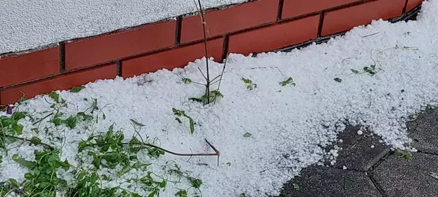 Foto: Bezirksfeuerwehrkommando Güssing
