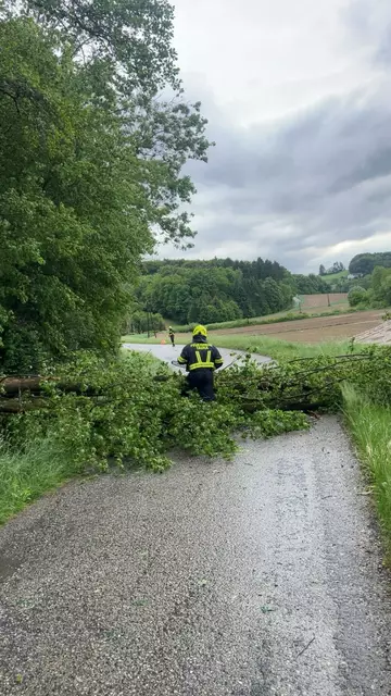 Foto: Feuerwehr Tauka