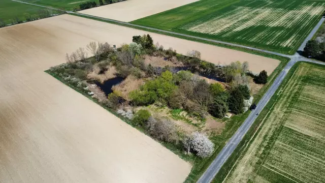 Zwei Teiche auf Moschendorfer Hotter wurden durch Pflegemaßnahmen wieder in einen naturnahen Zustand versetzt. | Foto: Gemeinde Moschendorf