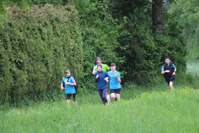 "Wings for Life Run" in Perg 2025. | Foto: Meinbezirk Perg/Köck