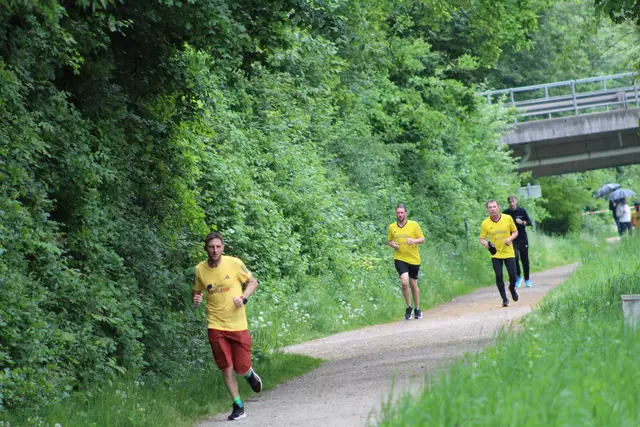 "Wings for Life Run" in Perg 2025. | Foto: Meinbezirk Perg/Köck