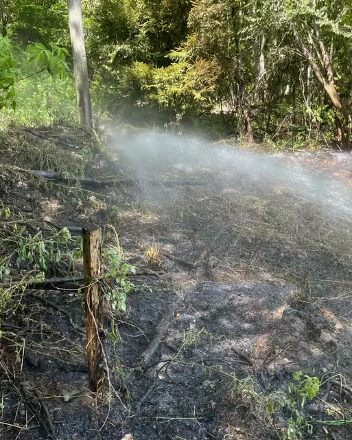 Feuerwehr bei den Löscharbeiten. | Foto: Freiwillige Feuerwehr Griffen