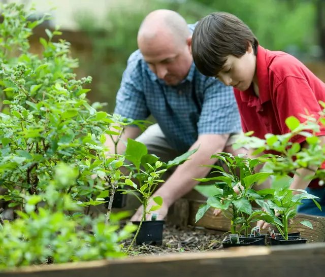 Ob Erwachsene oder Kinder – zum Garteln braucht es nicht unbedingt ein eigenes Grundstück. (Symbolbild) | Foto: CDC/Unsplash