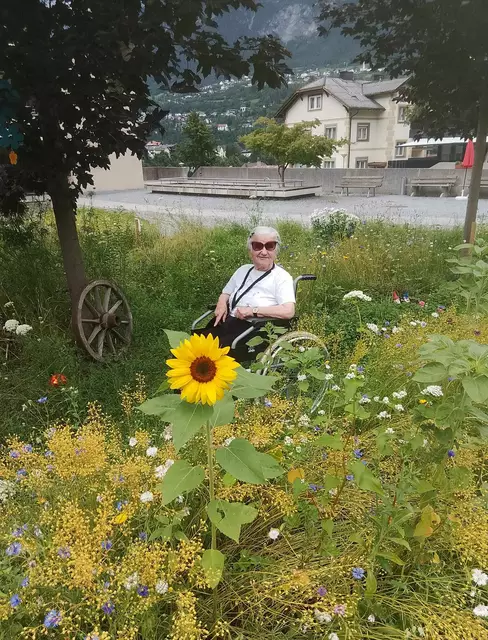 Die Bewohner lieben die Sonnenblumen. | Foto: Altersheim Landeck