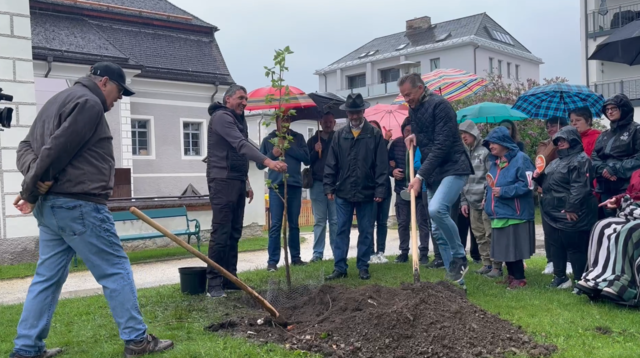 Die Marktgemeinde Tamsweg ist nun eine "Inklusionsgemeinde". Symbolisch wurde am 5. Mai 2025 bei strömendem Regen auch ein Inklusionsbaum im örtlichen Schlosspark gepflanzt. | Foto: pjw