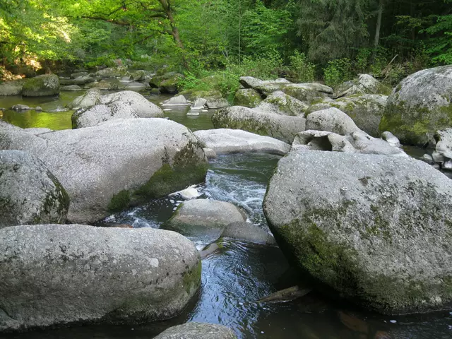Foto: Hehenberger