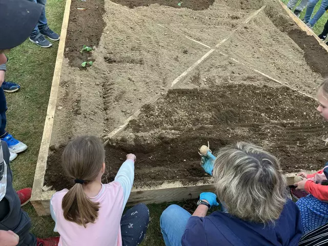 Foto: Pädagoginnen der Volksschule Oberneukirchen