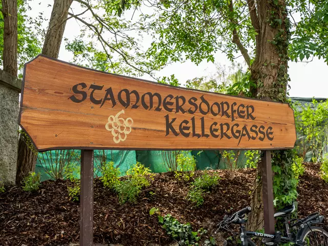 Foto: Valentina Marinelic/MeinBezirk