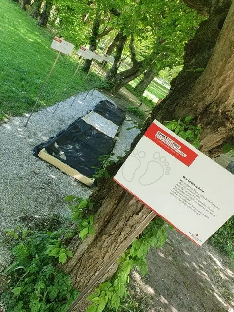 Bei vielen Stationen, wie etwa dem Barfußweg, wird der Besucher zum Entdecker. | Foto: RK Ried/Nagl