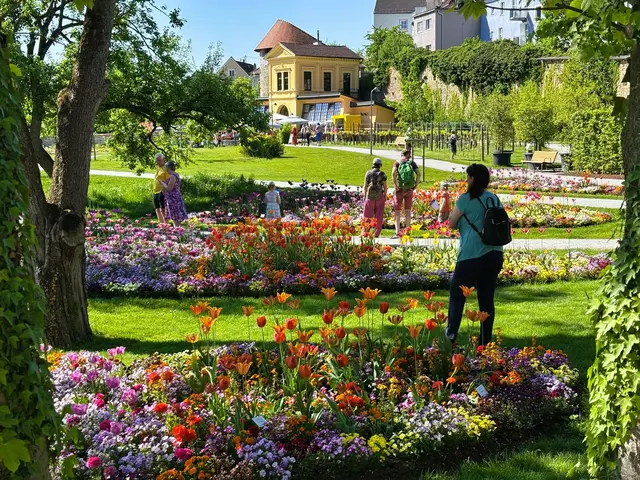 Die Landesgartenschau "INNsgrün" in Schärding lockte bereits Tausende Besucher.  | Foto: Franz Gruber