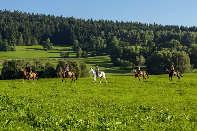 Im Mühlviertel gibt es einzigartige Reitwege. | Foto: Sportpension Ramlhof Nebelberg