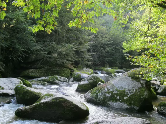 Foto: Hehenberger