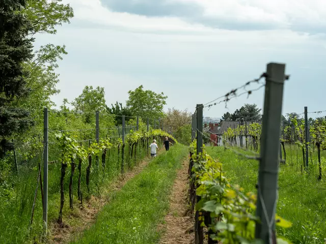 Foto: Valentina Marinelic/MeinBezirk