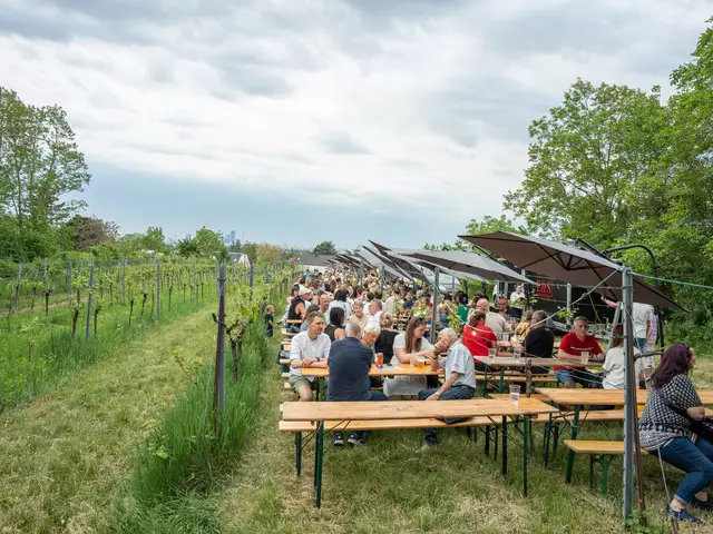 Foto: Valentina Marinelic/MeinBezirk