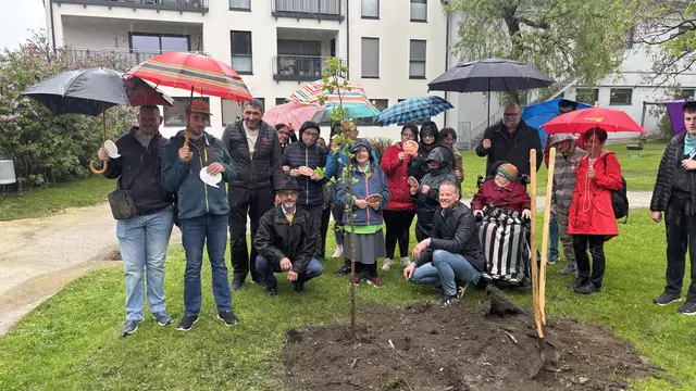 Die Marktgemeinde Tamsweg ist nun eine "Inklusionsgemeinde". Symbolisch wurde am 5. Mai 2025 bei strömendem Regen auch ein Inklusionsbaum im örtlichen Schlosspark gepflanzt. | Foto: pjw