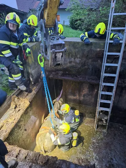 Die Feuerwehr Bischoffeld stand im Einsatz. | Foto: Bernhard Kolland / FF Bischoffeld