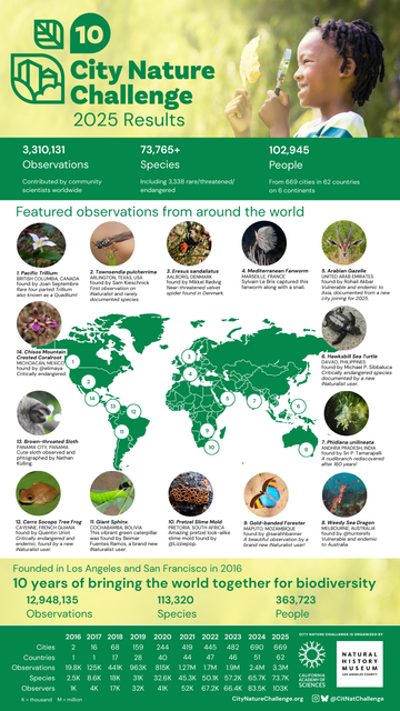 Foto: City Nature Challenge