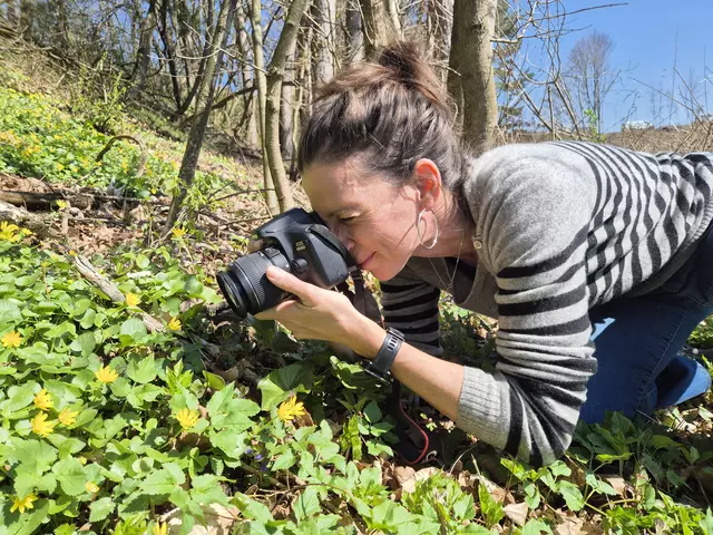 Der Biosphärenpark Wienerwald sucht die schönsten Detailaufnahmen.  | Foto: BPWW/A. Stavik