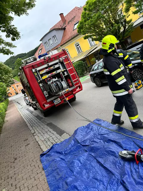 Foto: Feuerwehr St. Paul im Lavanttal