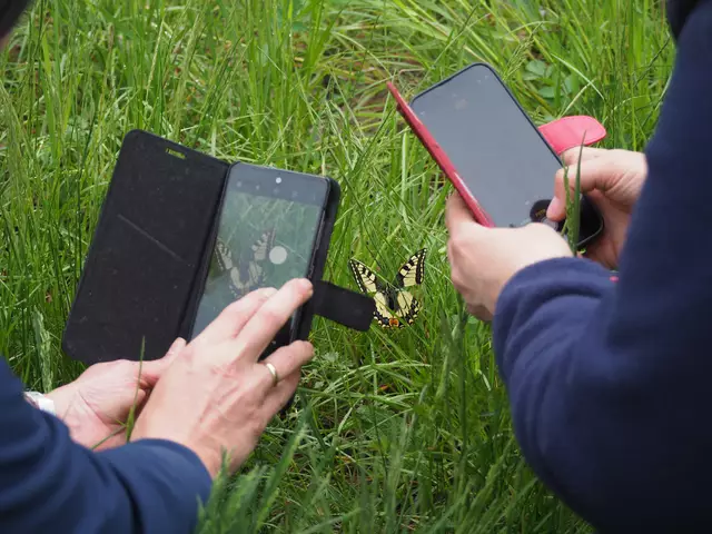 Beobachtungen über Smartphone und damit Natur erfahren. | Foto: Lorin Timaeus