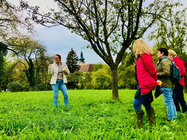 Streuobstwiesenspaziergang an der Moststraße | Foto: Moststraße