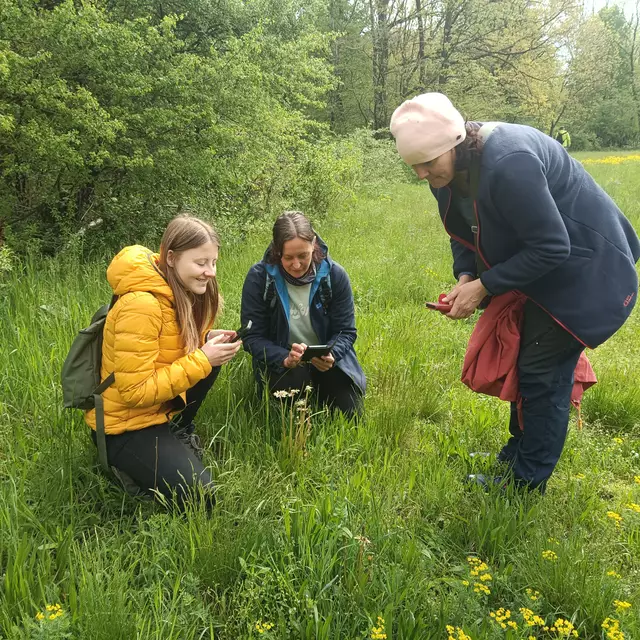 Die Entdeckung des Branknabenkrauts (Orchidee). | Foto: Klaus Teichmann