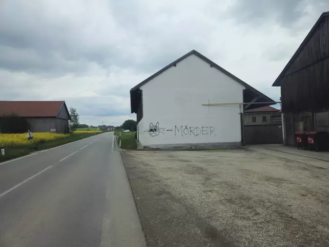 Seit Sonntag, 4. Mai 2025, prangt auf einer Gebäudewand eines Bauernhofes in Lohnsburg ein aufgesprühter Katzenkopf, daneben in großen Lettern das Wort „Mörder“.   | Foto: Adambauer