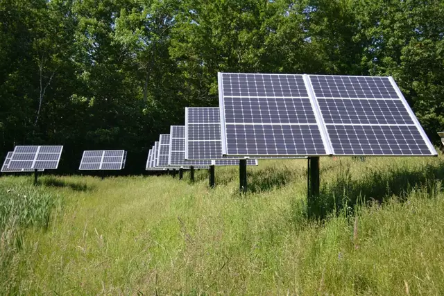 Skorsch green energy aus Paudorf ist ein Unternehmen mit Vision | Foto: Skorsch green energy GmbH
