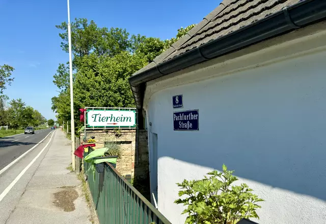Der Tierheim-Standort liegt direkt an der Stadtmauer am Rand des Harrachparks. | Foto: MeinBezirk/Birgit Bachhofner
