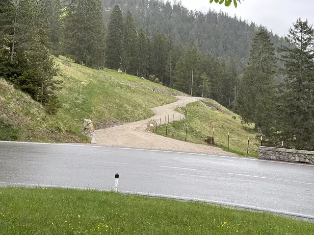 Auf Höhe der dritten Kehre am Gaichtpass zweigt der neue Wirtschaftsweg ab. | Foto: Reichel