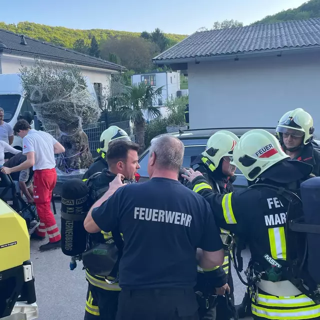 Auch das Rote Kreuz war im Einsatz. | Foto: FF Maria Gugging