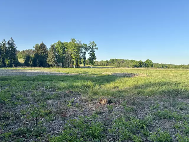 Gewerbegebiet in Königsdorf | Foto: Elisabeth Kloiber