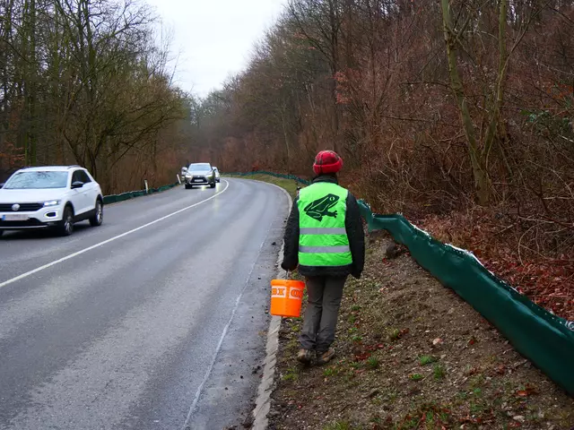 Die ehrenamtlichen Helferinnen und Helfer haben die Tiere in Kübeln an den Zäunen eingesammelt und dann sicher über die Straße gebracht.  | Foto: VGT.at