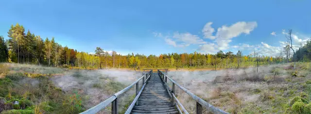 Naturpark Heidenreichsteiner Moor | Foto: Horst Dolak
