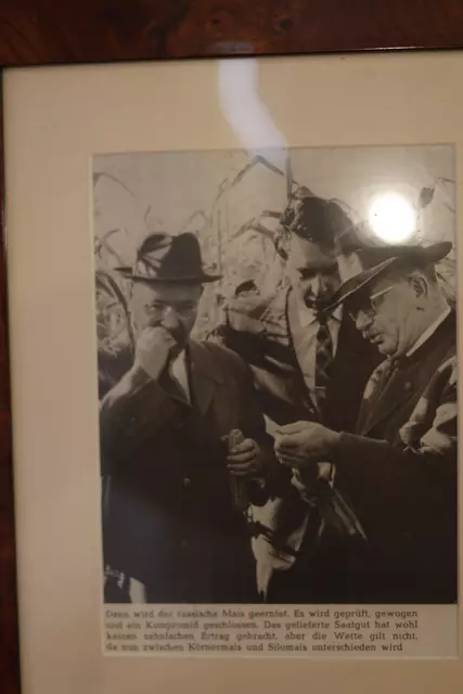 Dieses Foto entstand bei der Kukuruzwette. | Foto: Rogl