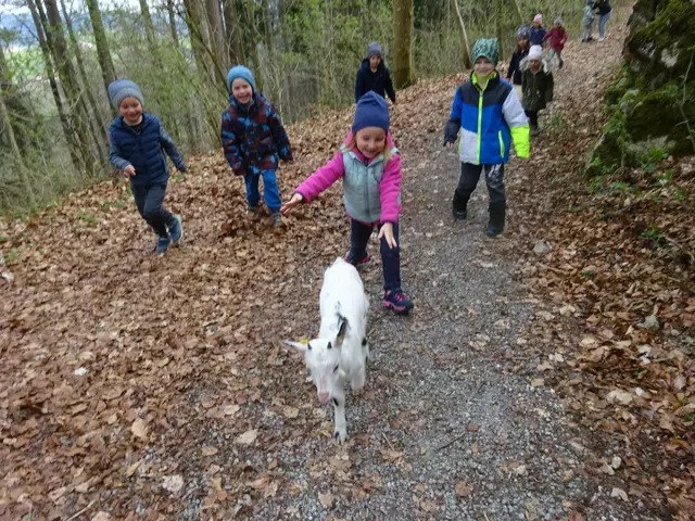Wenn 39 Kinder aus dem Kindergarten Konradsheim im Frühling auf Entdeckungsreise gehen, wird die Umgebung zum Abenteuerland. | Foto: Stadt Waidhofen