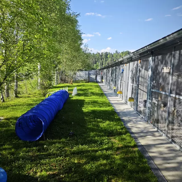 Das neue Grundstück ist noch nicht angekauft, der Vorvertrag ist aber bereits fertig. | Foto: Mocnik