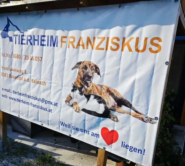 Seit 2011 ist das Tierheim Franziskus in Rosental beheimatet. | Foto: Mocnik