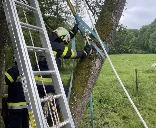 Hilfsmittel: Hydraulikstempel und Ratschengurte waren beim Einsatz notwendig. | Foto: FF Prebensdorf