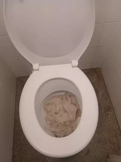 Das Klo wurde von Geisteskindern verstopft. | Foto: privat