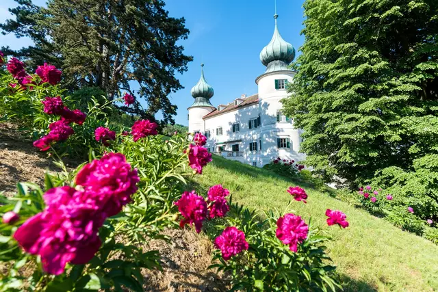 Etwas abseits der Wachau liegt auf einer Anhöhe das bezaubernde Schloss Artstetten mit seinem historistischen Park. | Foto: David Mayrhofer