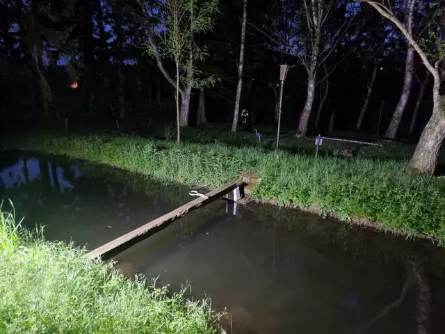 Feuerwehr rettet 400.000 Jungfische vor dem Tod | Foto: DOKU-NÖ