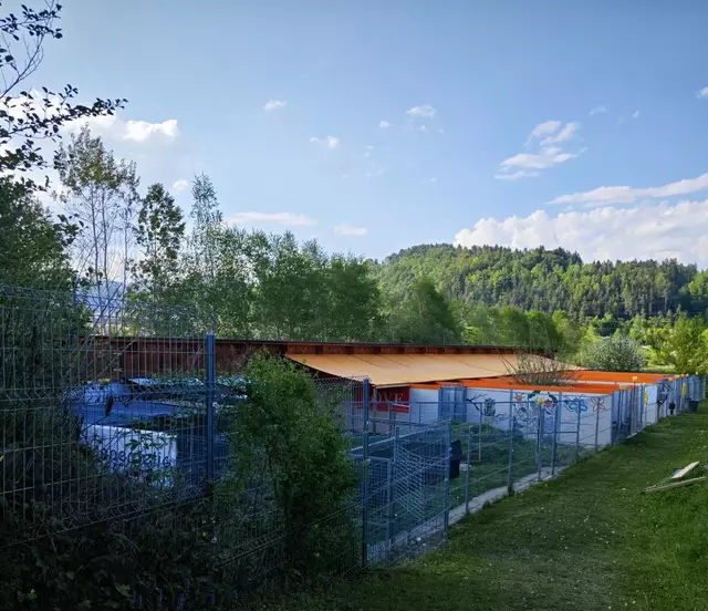 46 Katzen und zwölf Hunde sind derzeit im Tierheim Franziskus untergebracht. | Foto: Mocnik