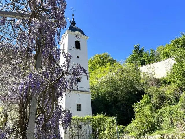 Der Meditationsgarten der Kartause Aggsbach soll den ehemaligen Zellentrakt des Klosters in Form von „grüner Architektur“ wieder sichtbar machen. | Foto: Natur im Garten