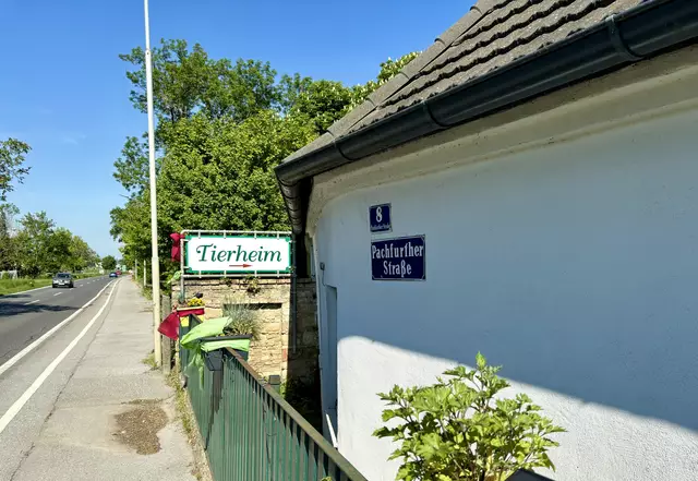 Desolater Standort - Tierheim Bruck auf der Suche nach Lösungen | Foto: Bachhofner