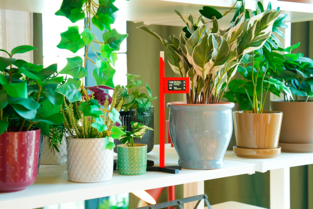 Die drei Studierenden hatten ursprünglich die Idee, die Mini-Haltestelle im Webshop der Wiener Linien zu verkaufen. | Foto: Straba