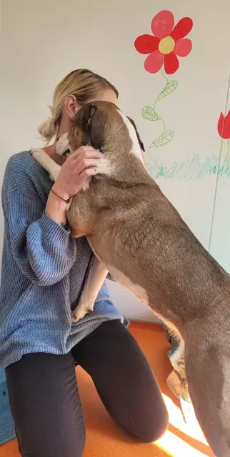 Tierheimleiterin Nina Mocnik mit einem der Hunde, die betreut werden. | Foto: Mocnik